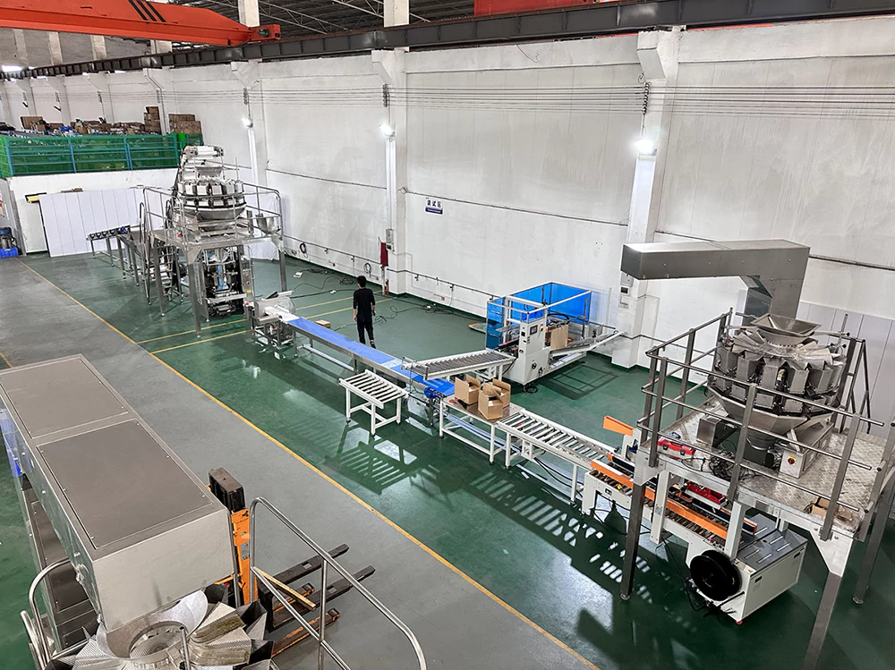 Automatic vertical frozen food packaging machine with cartoning machine system